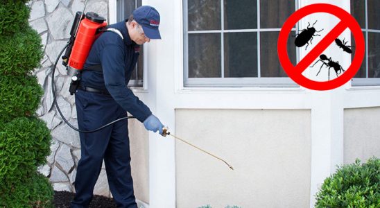 Pasinler Gümüşkurt İlaçlama böcek ilaçlama ve haşere kontrolü — ilaclama-tr.com